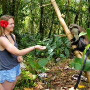 Sweet Grenada Tours, Taxi and Rentals - Image 4