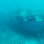 MV Persia II - Image 2