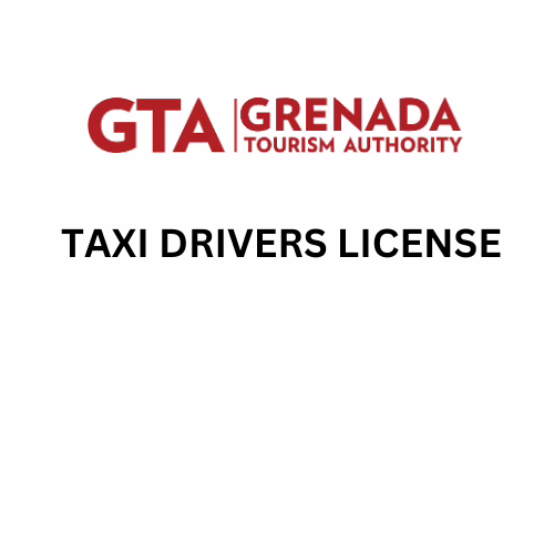 GTA 20 Bedroom License, Taxi Drivers
